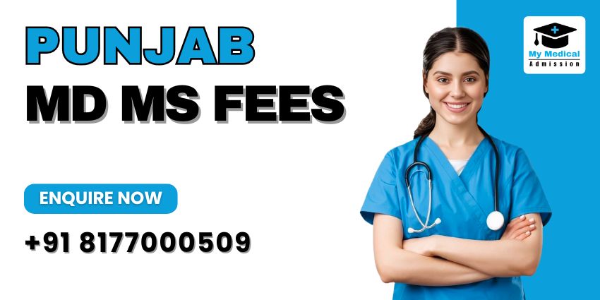 Punjab MD MS Fees